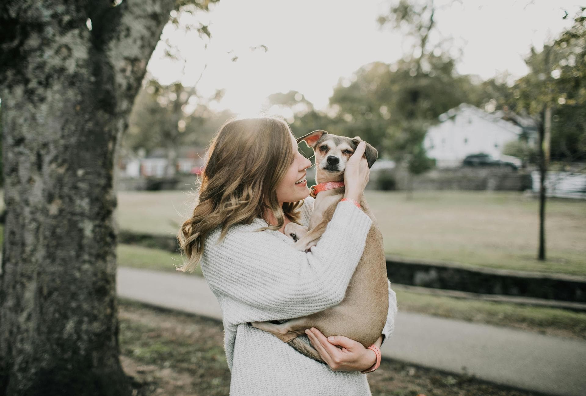 Dog being held in lady's arms